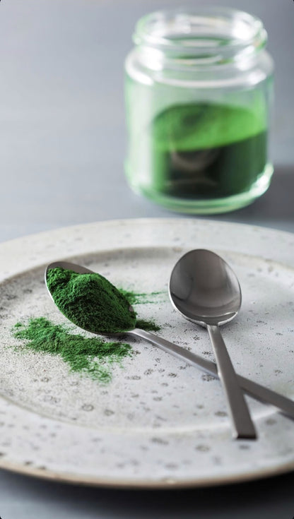 Plankton - tetraselmis Chuii (25g)